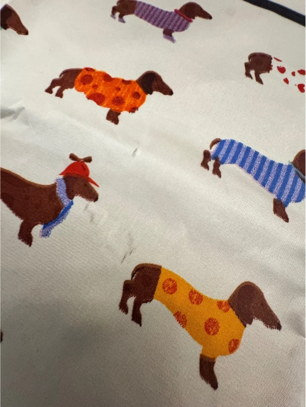 Colorful Dachshund Print Scarf with Green Border 268